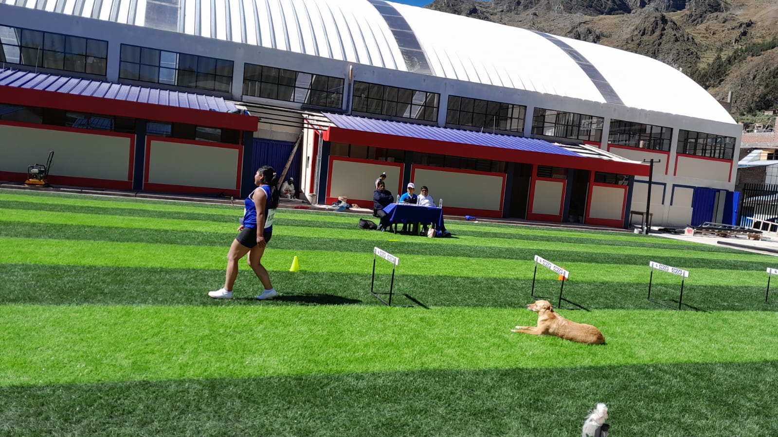 Actividades académicas de Educación Física